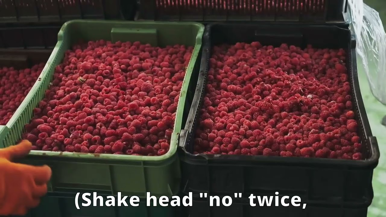 The Loganberry Jumble-song