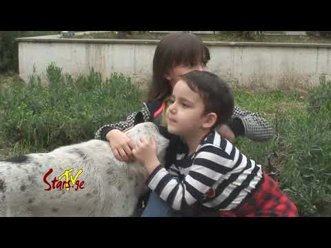 ნახეთ პატარები, ქუჩის ძაღლს როგორ ეფერებიან