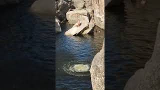 Salto al agua cordoba nido