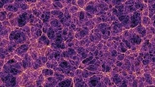 The Thermal Odyssey of the Photoionized Intergalactic Medium - Matthew McQuinn