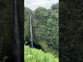 How high is this? #shorts #waterfall