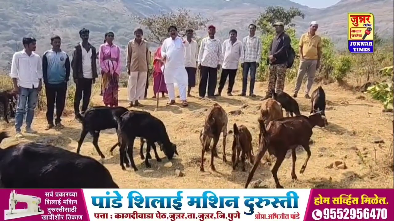 आंबोली. बिबट्याने शेळ्या खाल्ल्या.. देवराम लांडे हाजीर..! 