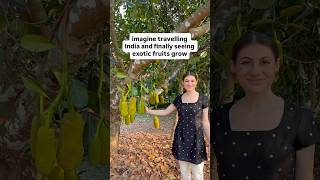 What India Taught Me