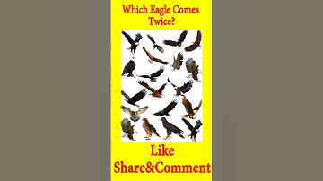 Eagle Sharp Mind Genius Level #siotramindgame #quizgame #emojichallange #mindgames