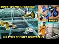 ALL IMPORTED FISH| GUPPIES FISH FARM|STARTING FROM ₹5|EXOTIC FISH COLLECTION IN BUDGET PRICE.|PART-2