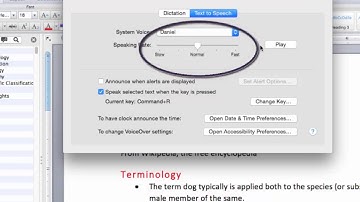 Using Text-to-Speech with Accessible Word Doc on Mac