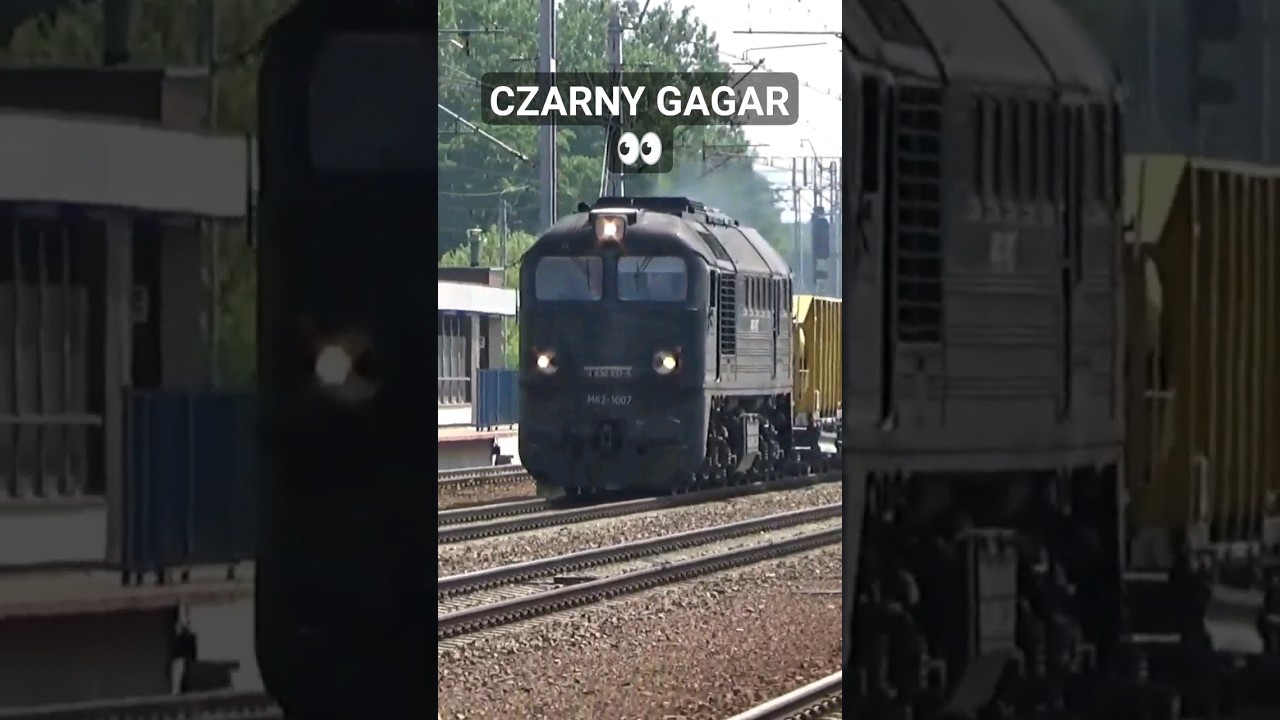 👀Czarny Gagar (M62-1007) 