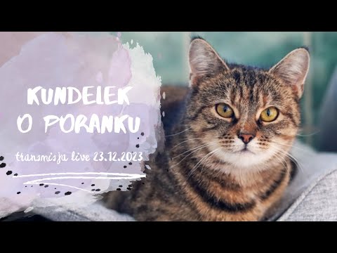 Kundelek o poranku 23.12.2023