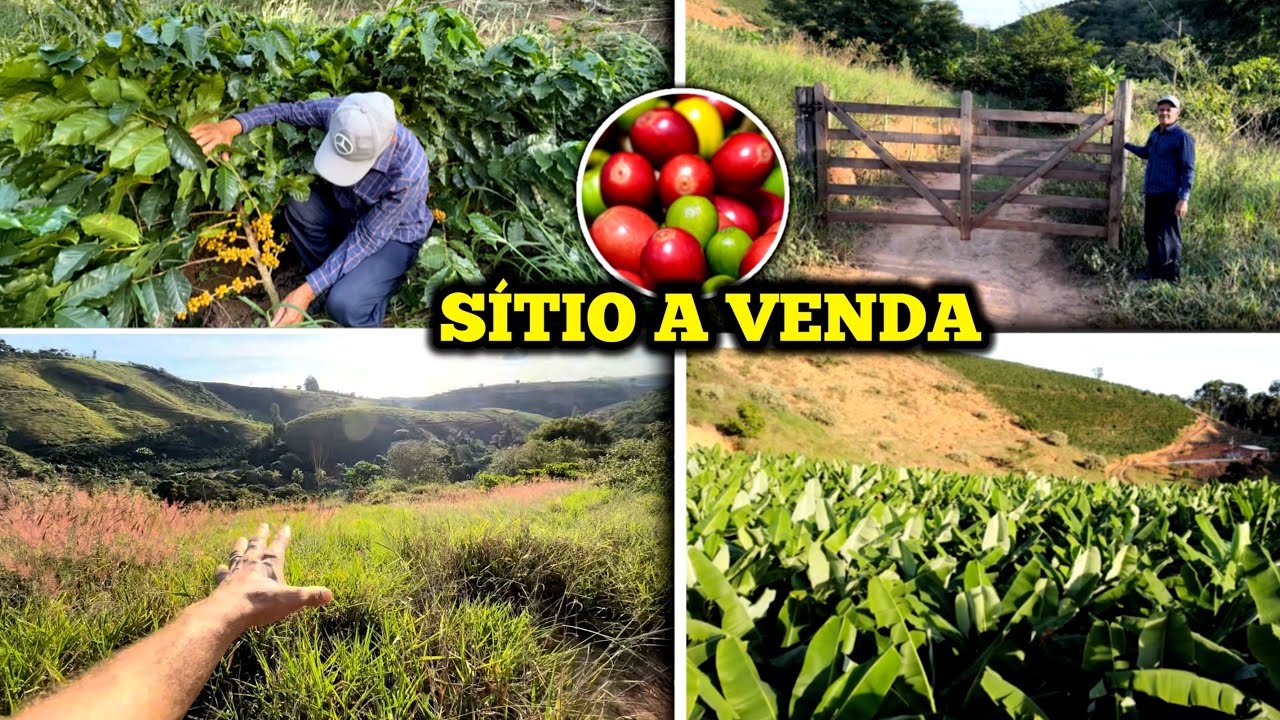 SÍTIO A VENDA NO INTERIOR DE MINAS GERAIS