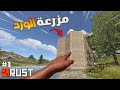 راست بنيت مزرعة لانتاج الفطائر وللورد ولكن بطريقة مختلفة!! Rust solo