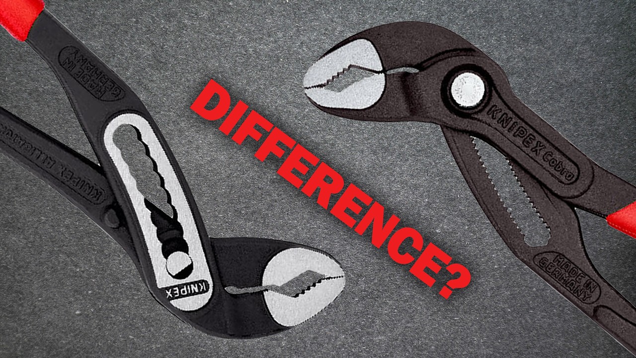 Cobra vs Alligator: Don’t Buy Until You Watch This!