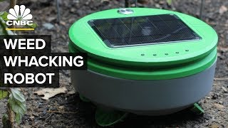 This Robot Works Like A Weed-Whacking Roomba | CNBC screenshot 3