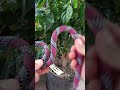 Easy Useful Way To Tie A Rope Part 389 Knot