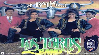 Miniatura del video "LOS TOROS BAND - ENAMORADO (1999)"