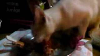 VID 00001-20100215-2054.mov
