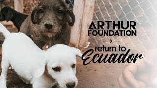 Visiting dog shelters in Ecuador ∣ VLOG DOS