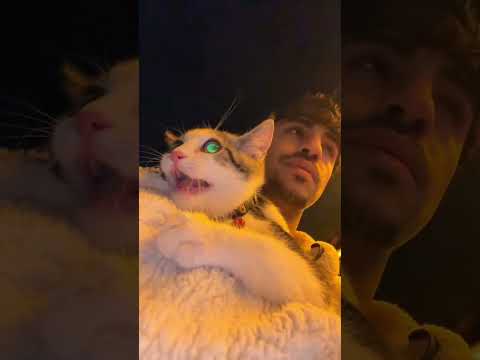 انزلكم هيك فيدهات اكسبلور Stitchface دويتو Stitchtricks Duet ضحك Funny ترند بث