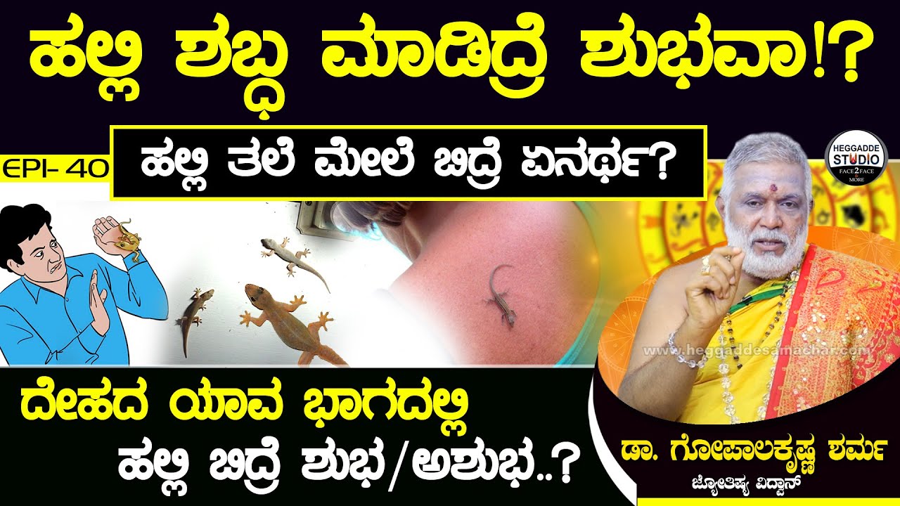 ಹಲ್ಲಿ ಶಬ್ಧ ಮಾಡಿದ್ರೆ ಶುಭವಾ!? ಹಲ್ಲಿ ತಲೆ ಮೇಲೆ ಬಿದ್ರೆ ಏನರ್ಥ? Jyotishi Dr.GopalaKrishna Sharma | Heggadde