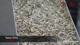 Sunflower Seed Color Sorter, Fotosorter - AKY Technology