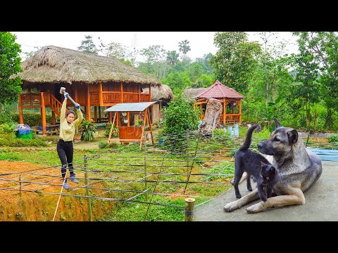 Use Many Bamboo Poles And Plastic Wires Woven into Mesh To Create Gac Trellis | My Farm Đào