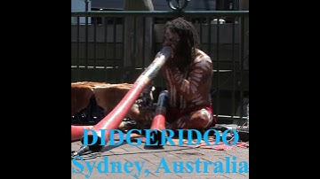 Thumbnail of Aboriginal Didgeridoo playing at Sydney, Australia