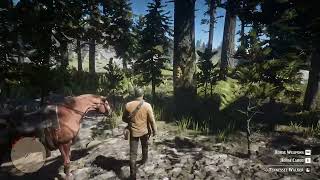 RDR2 - Faces in the trees.