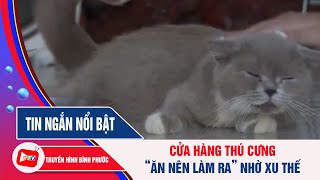 Cửa hàng thú cưng "ĂN NÊN LÀM RA" nhờ xu thế | BPTV screenshot 3