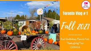 Toronto Vlog #1 🇨🇦 | Fall 2020 🍁 | East Gwillimbury Farms | Canada | 加拿大多倫多
