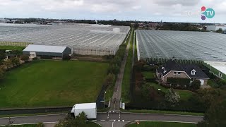 SCHIE TV: Westland wil maar niet zelf arbeidsmigranten huisvesten