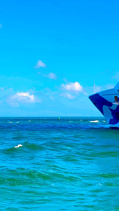 Regal Princess 🛳️ #share #like #subscribe #comment #cruise #vacation #shortvideo #shortsvideo #fun