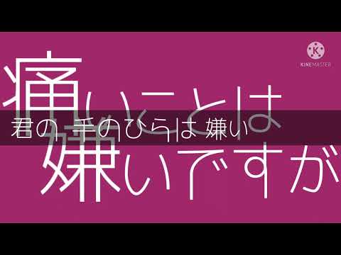 【PV？】キャットラビング【編集途中】