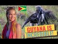 GUYANA | WAIKIN RANCH &amp; KARANAMBU LODGE |  What is Guyana really like? 4K