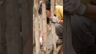 Build fish ponds in the countryside!｜林果儿