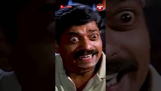 बॉलिवूडच्या गर्दीत आपला मराठी ठसा! | Marathi Actors | Bollywood | Lakshmikant Berde | Ashok Saraf