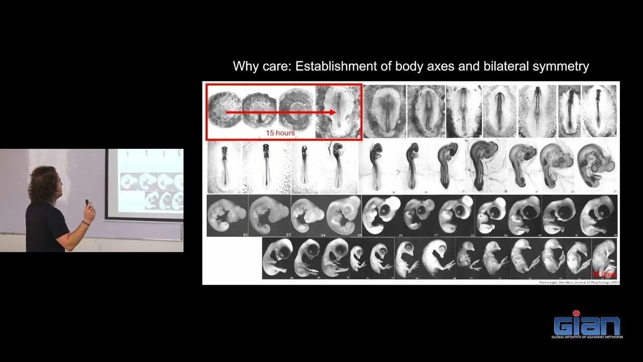 L07 Chick Embryo Data (Lab I)