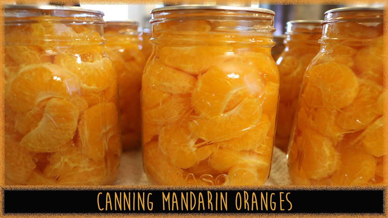CANNING MANDARIN ORANGES TO THE DEN YouTube
