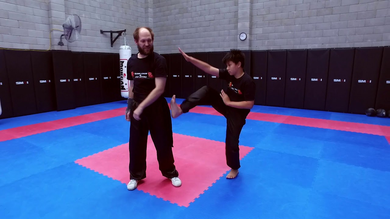 Kids Wing Chun Kung Fu Classes