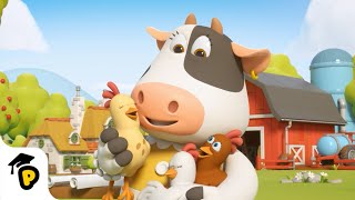 Moo&#39;s Chicken Coop | Build it | Kids Learning Cartoon | Dr. Panda TotoTime