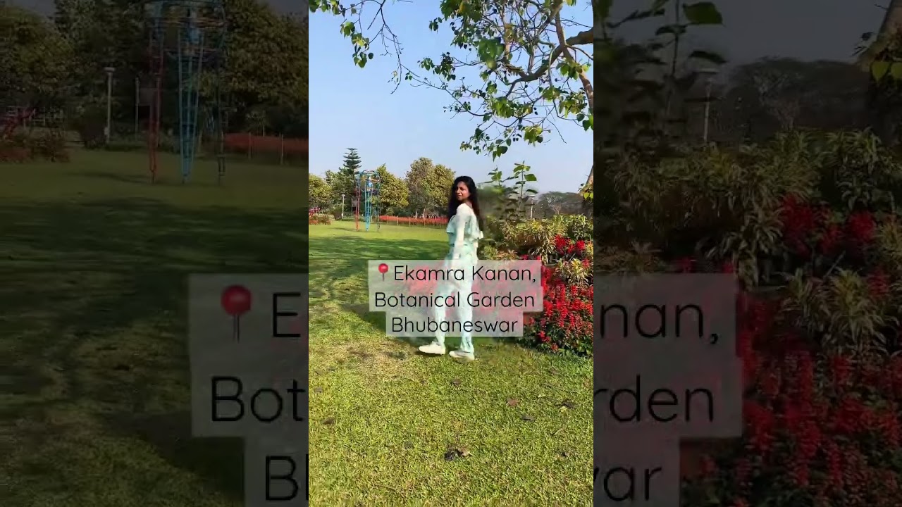 Ekamra kanan Koraput Coffee Botanical garden Bhubaneswar 