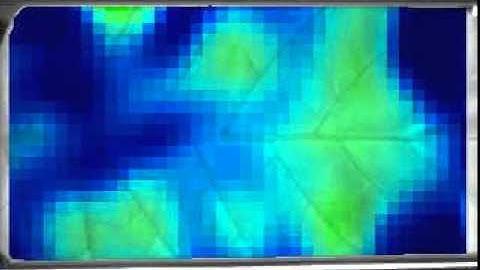 Environmental Effects on Spatial and Temporal Patterns of Leaf and Root Growth: Supplemental Video 2