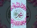 Surah Ikhlas Beautiful Heart Touching Voice Qurantilawat Surahikhlas Surahikhlaskibarkat Quran