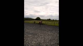 WP 20140531 007