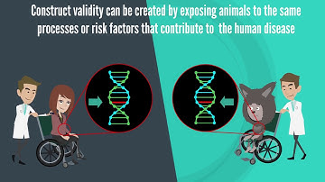 What is construct validity?