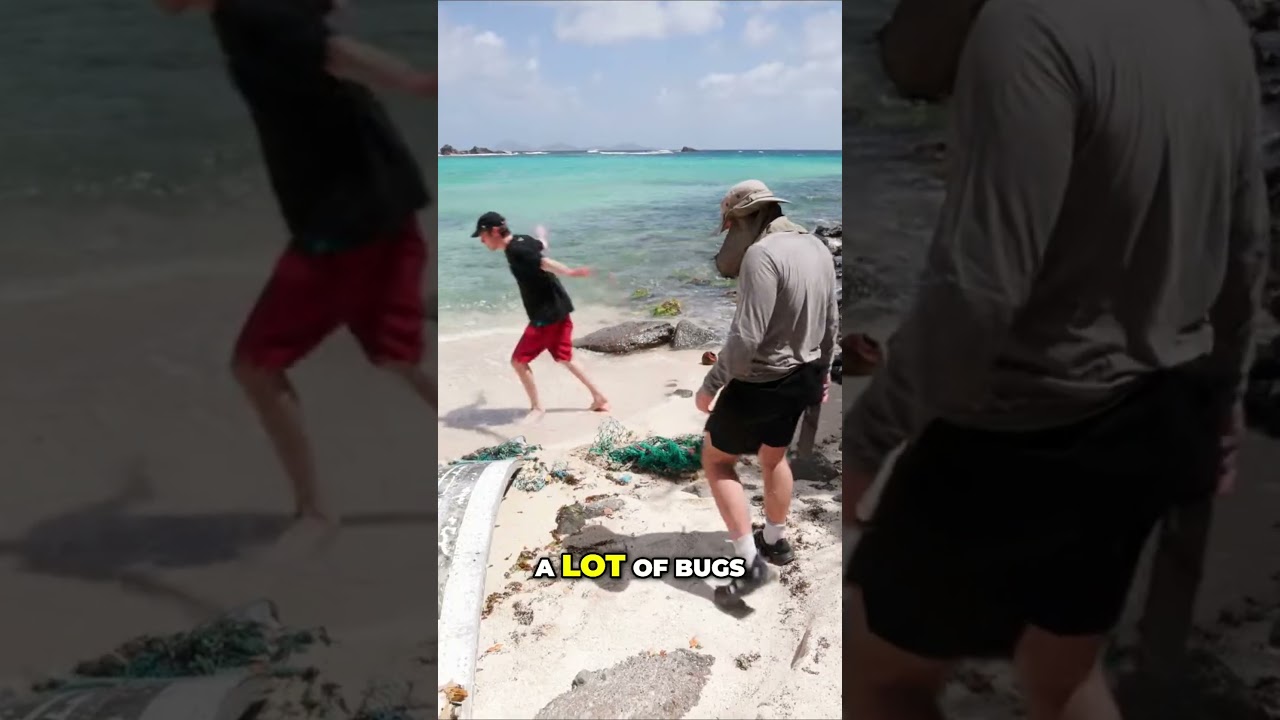 Exploring the Fun of an Ocean Buoy  Catching Chickens and Bugs