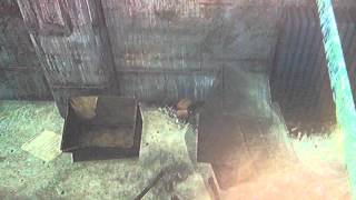 POSSESED BREAK DANCING BOX Fallout 4