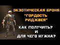 The Division 2: Экзотическая броня "Гордость Риджвея". Гайд как получить и для чего она нужна?