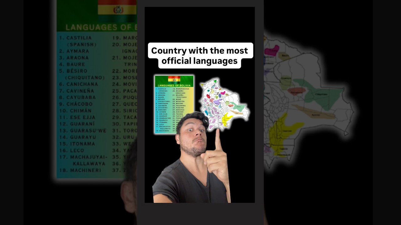 The country with the most official languages