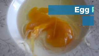 An Egg A Day! The Health Benefits Of The Modest & Humble Egg