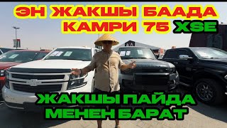 картинка: Унаалар жакшы пайда менен барат , шашылыныз