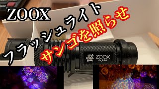 ZOOXフラッシュライト